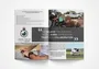 Gqeberha Services Brochure Designer Professional Graphic Lavish Design Amp Stationery Printing